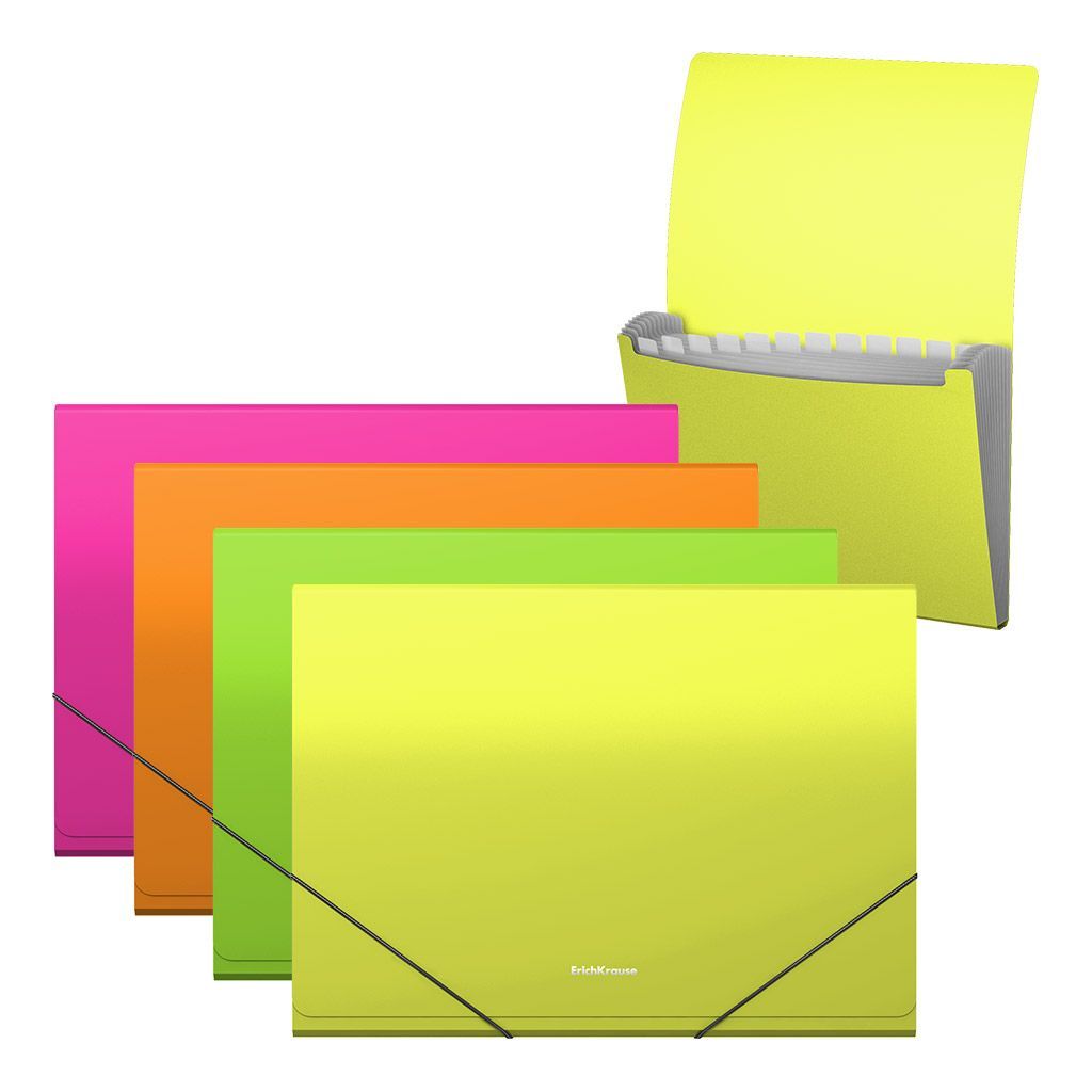 Carpeta fuelle 12 departamentos de erichkrause