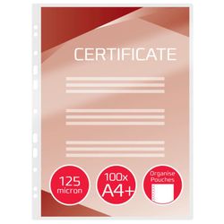 Carteras GBC FILEX DIN A4 (216X303) 2X125 mic. (Caja 100)