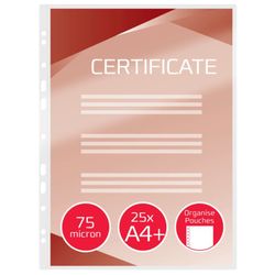 Carteras GBC FILEX DIN A4 (229X304) 2X75 mic. (Caja 25)