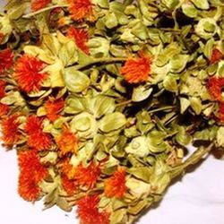 Carthamus Natural Seco.