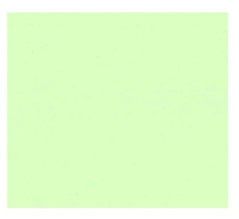 Cartulina 50*65 30 kg. verde claro