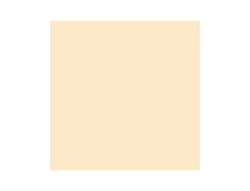 Cartulina Guarro Carne 50X65 Cm 185 Gr