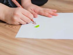 Cartulina liderpapel A3 180g/m2 blanco paquete de 25+5 hojas en carpeta dossier transparente con cierre