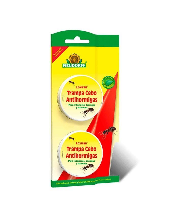 Cebo antihormigas, trampa antihormigas ecológica