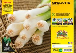 Cebolla Blanca Tierna Cipollotto 12 Plantas Pack