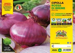 Cebolla Roja Dulce Bremen 12 Plantas en Pack