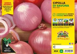 Cebolla Roja Savonese 12 Plantas En Pack