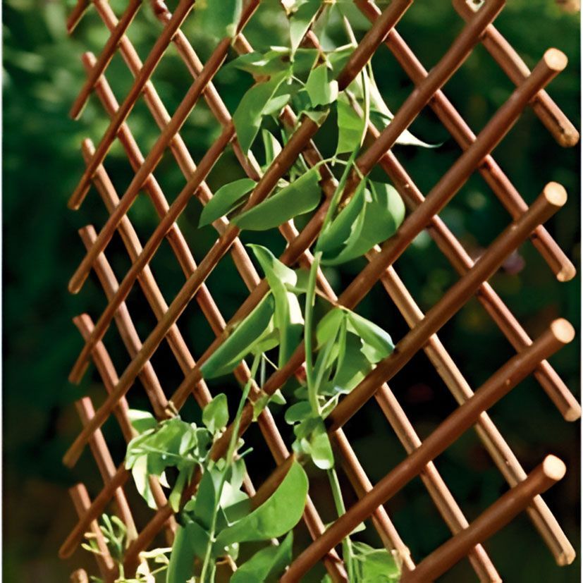 Celosia Extensible De Mimbre 1x2 M.