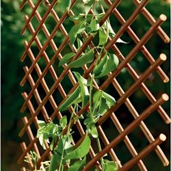 Celosia Extensible De Mimbre 1x2 M.