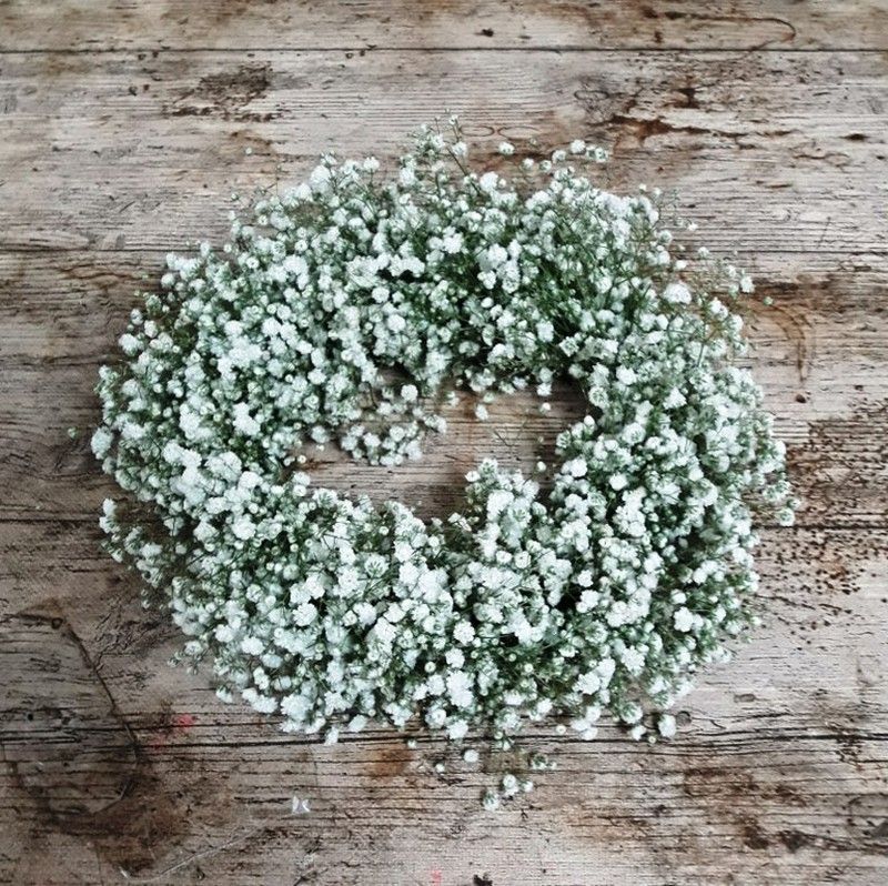 Centro corona Paniculata natural 4 uds.