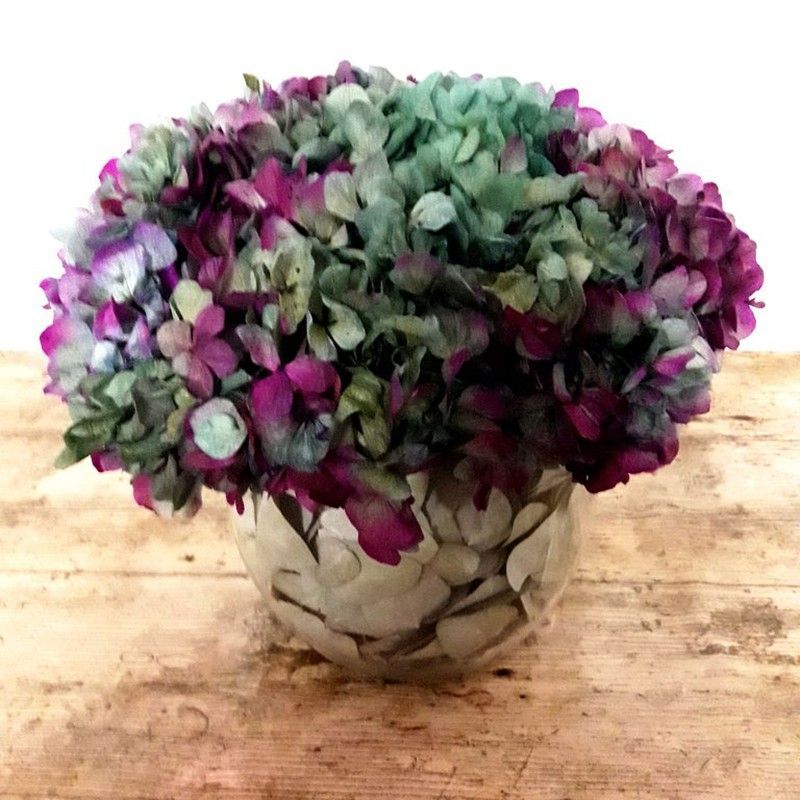 Centro Cristal Hortensias