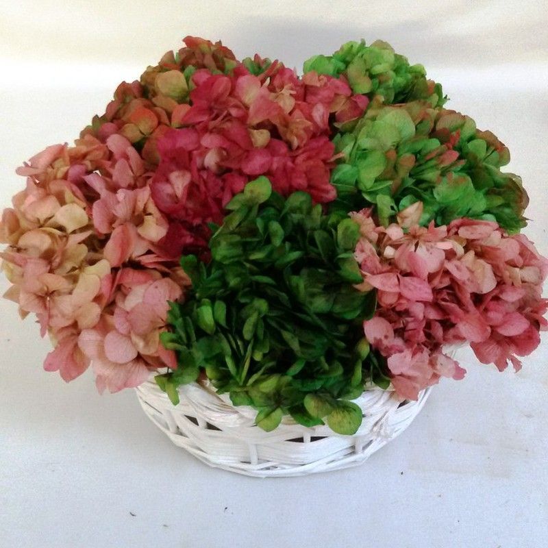 Centro Hortensias Preservadas Mediano 2