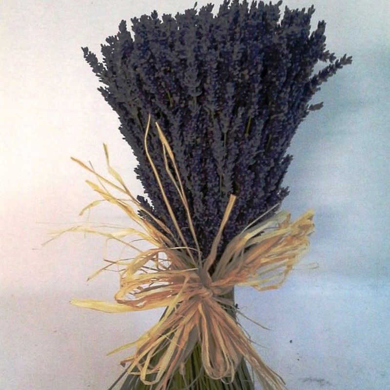 Centro Lavanda Natural Teñido