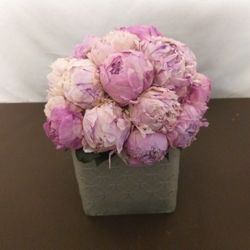 Centro Peonias Premium