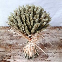 Centros Espigas Naturales Bajo