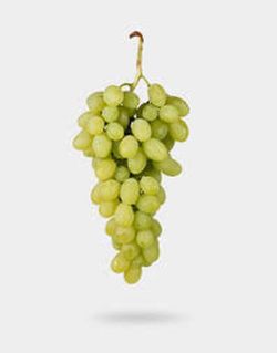 Cepa Pie Bajo - uva de mesa C-19 Victoria