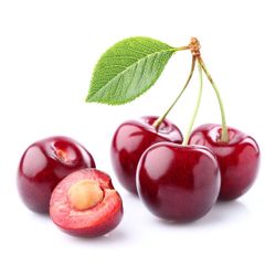 Cerezo Adriana C-24  ITALIA