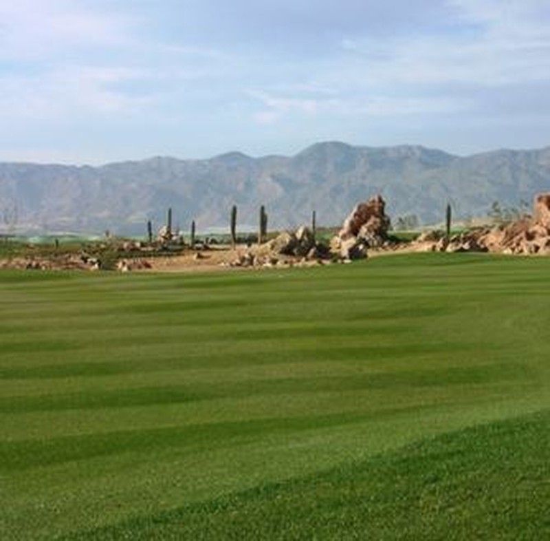 Cesped Bajo Mantenimiento sahara de Zulueta