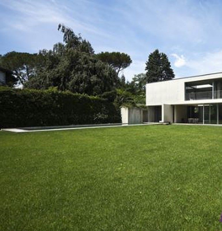 Cesped Resiembra regenerator de Zulueta