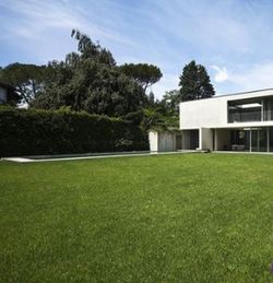 Cesped Resiembra regenerator de Zulueta