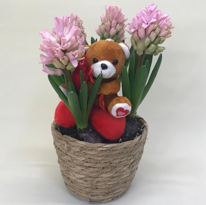 Cesta de Mimbre con Jacintos y Osito San Valentín