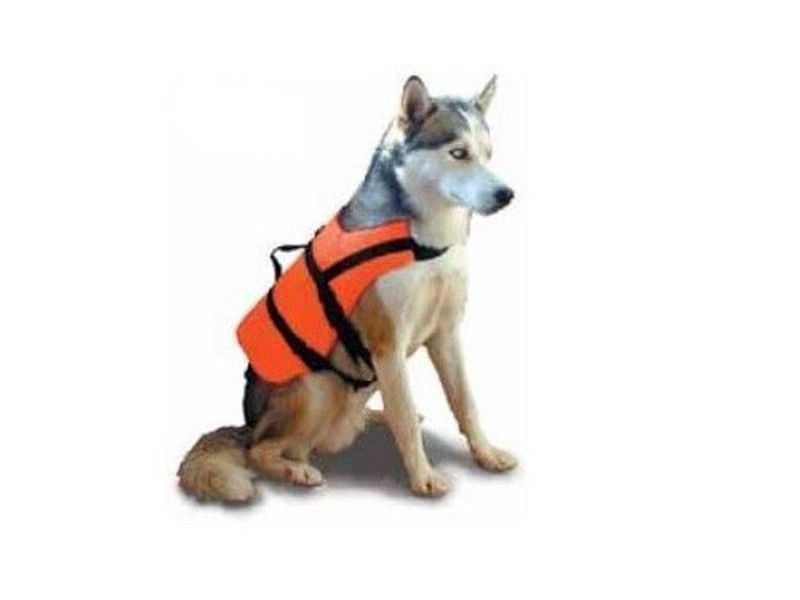 Chaleco Salvavidas Mascota Lalizas