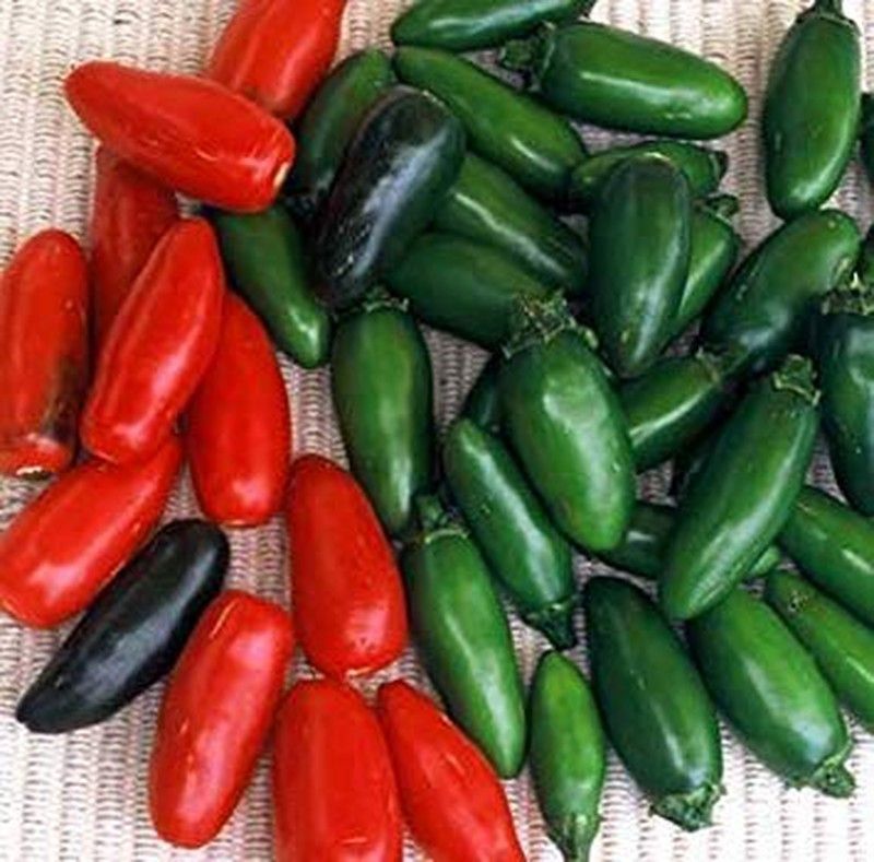 Chile Serrano