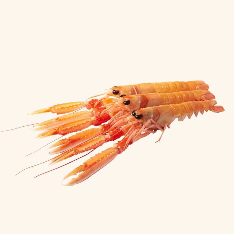 Cigala del Norte .250g 4/6 unidades.