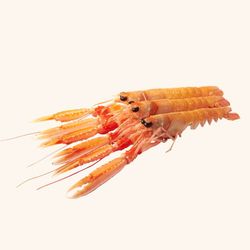 Cigala del Norte .250g 4/6 unidades.