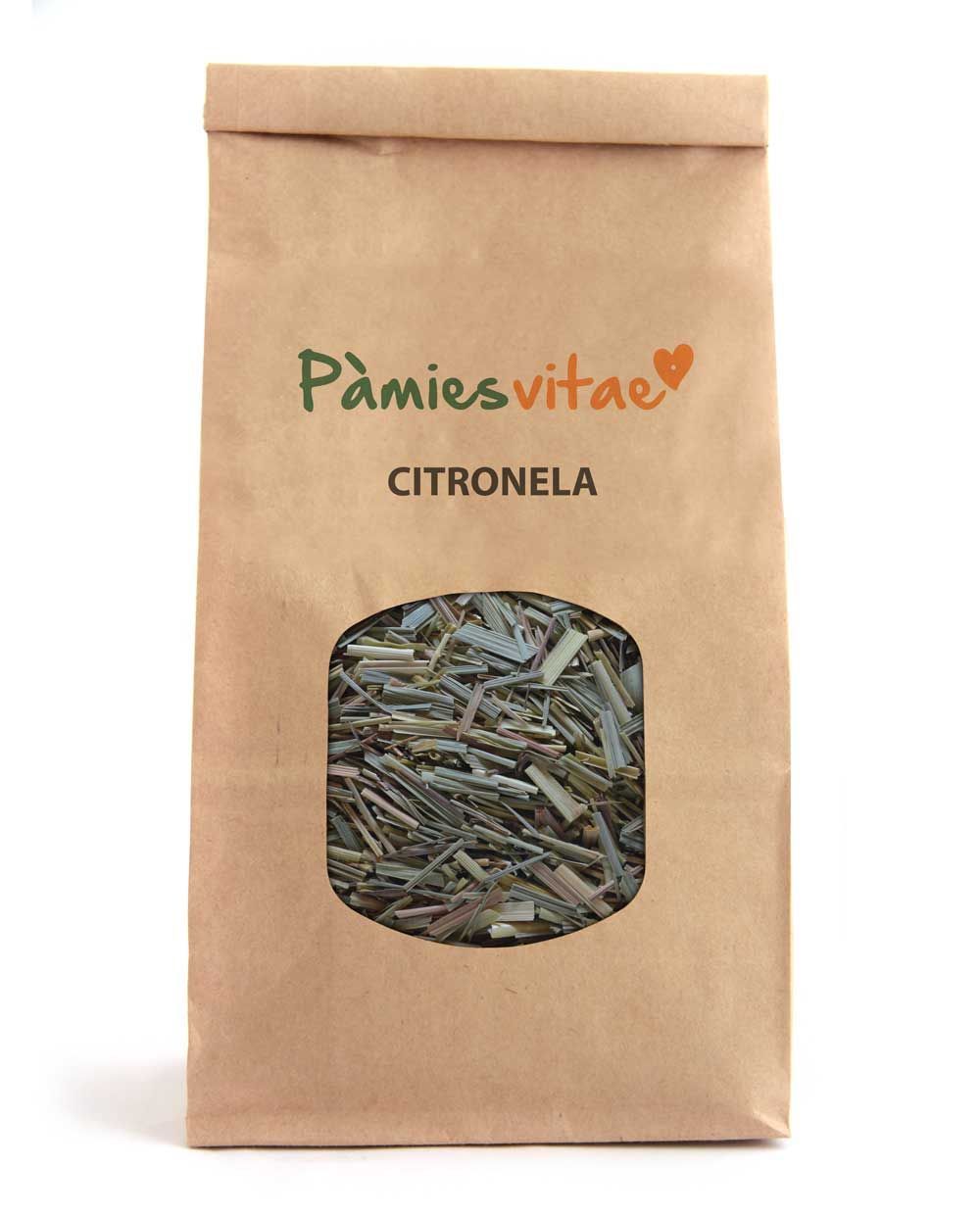 CILANTRO - Coriandrum sativum Bolsa 80 g