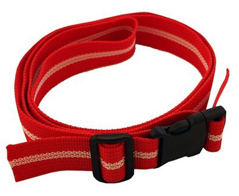 Cinta para portar 20 fritas