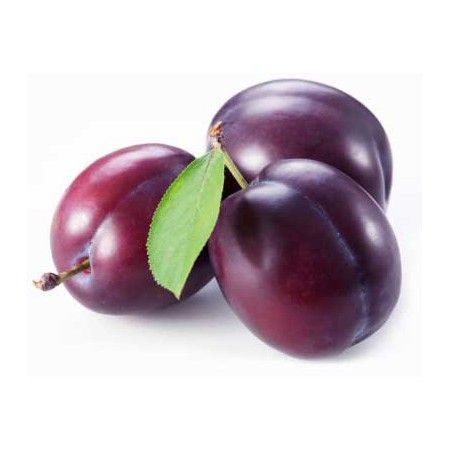 Ciruelo Stanley CT.42  ITALIA