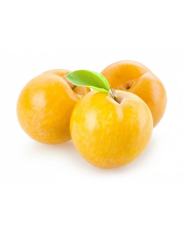 Ciruelos Golden Japan