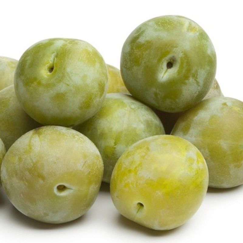 Ciruelos Reina Claudia Verde