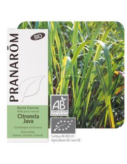 Citronela de java partes aereas 10 ml