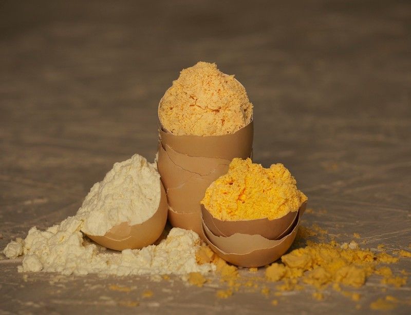 Clara de huevo en polvo