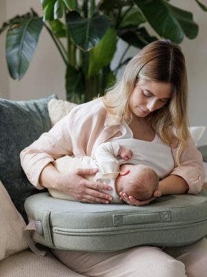 Cojín de lactancia Elysia de Inglesina