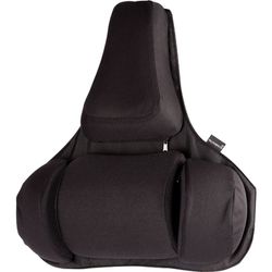 Cojín lumbar ergonómico Professional Series