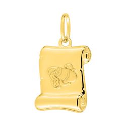 Colgante Metal Chapado Oro Argyor MRM Mujer (CH)136442.11 Zodiaco Pergamino Acuario