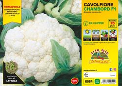 Coliflor Primavera 6 Plantas en Pack