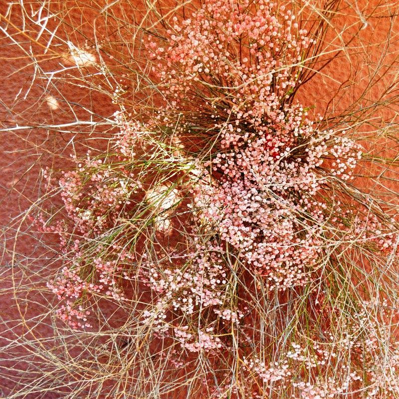 Composición Nube de sueños