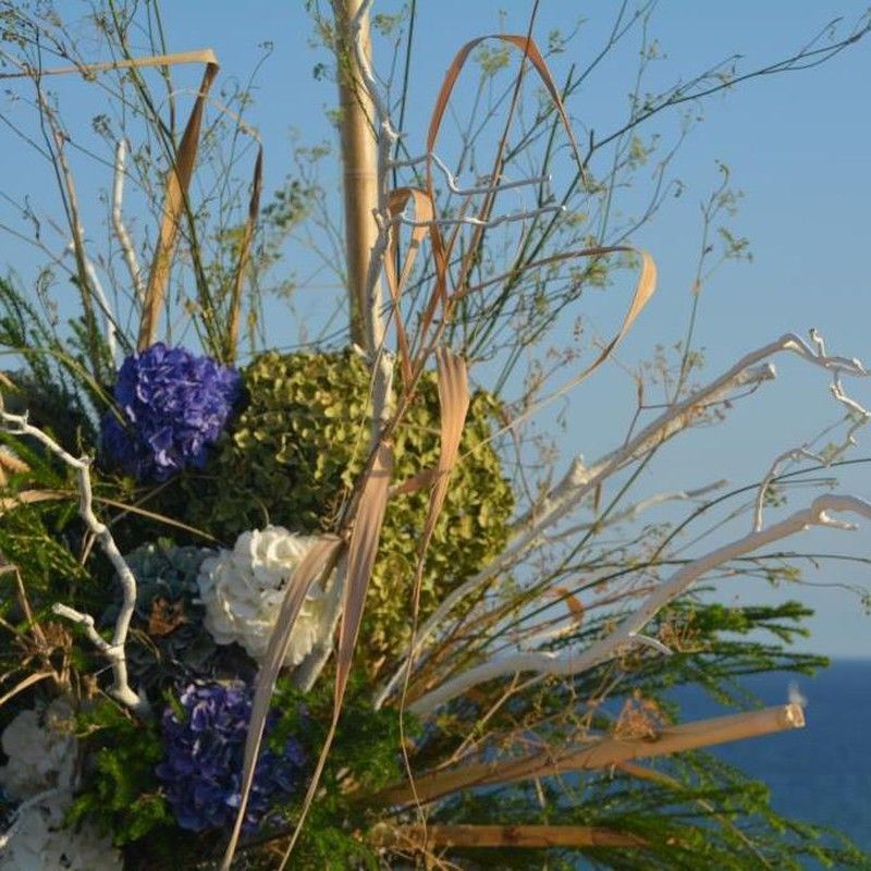 Composición Principal