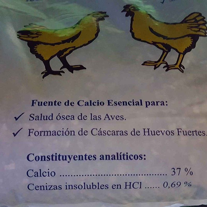 Conchilla de ostra natural. Calcio para gallinas ponedoras.