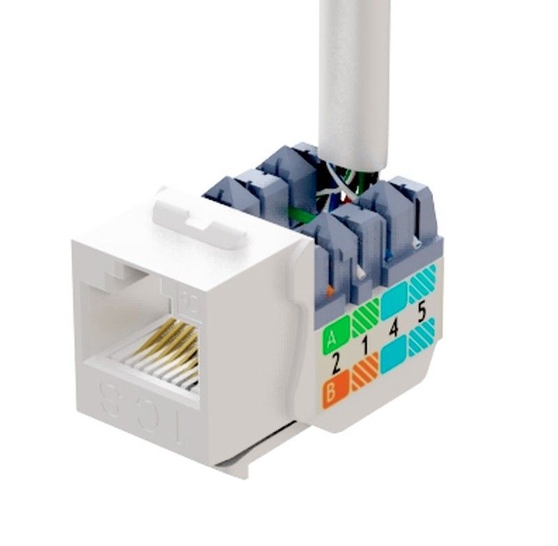 Conector universal Cat 6 Slim Mach3 hembra UTP RJ45