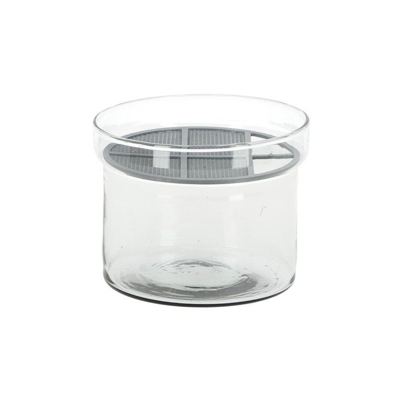 Conjunto de Crecimiento de Brotes