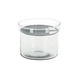 Conjunto de Crecimiento de Brotes