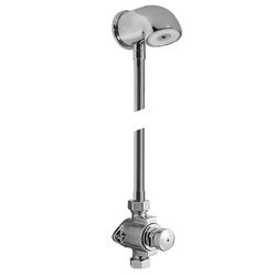 Conjunto de grifo temporizado mural de 1 agua para ducha Colectividades