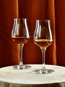 Copa Avant garde Grappa 15 cl