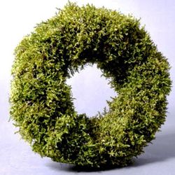 Coronas de Musgo Natural