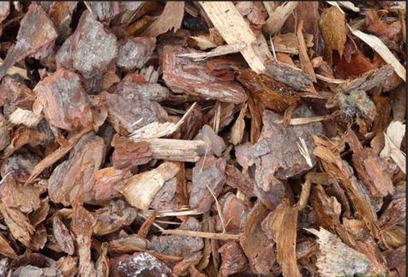 Corteza Mulching de Pino en big 500ccc